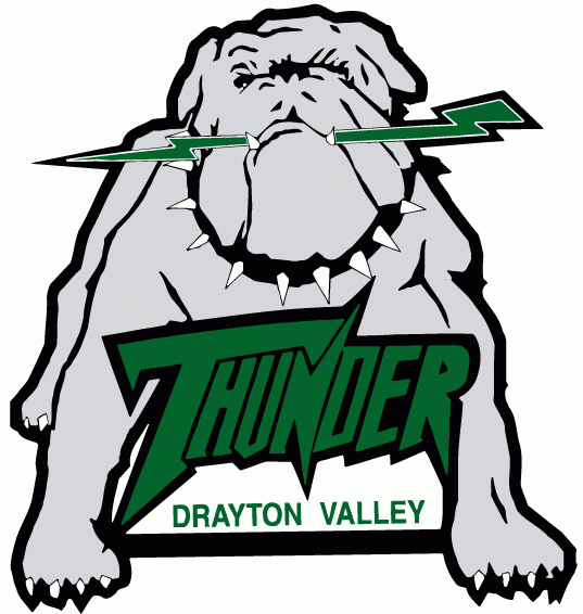 Drayton Valley Thunder 1998-Pres Primary Logo iron on transfers for clothing